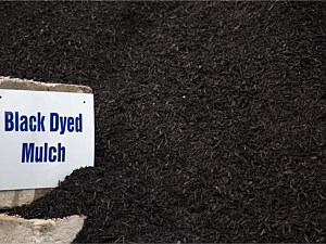 Mulch